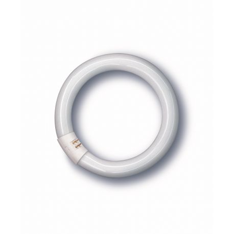TUBO FLUORESCENTE TRIFOSFORO CIRCULAR 22W 6500 K OSRAM