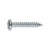 TORNILLO ROSCA CHAPA 7981 4,8x060MM CINC INDEX 250 PZ