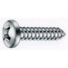TORNILLO ROSCA CHAPA 7981 5,5x038MM CINC INDEX 250 PZ