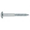TORNILLO INVIOLABLE 07x070MM CABEZA RED. CINC INDEX 100 PZ